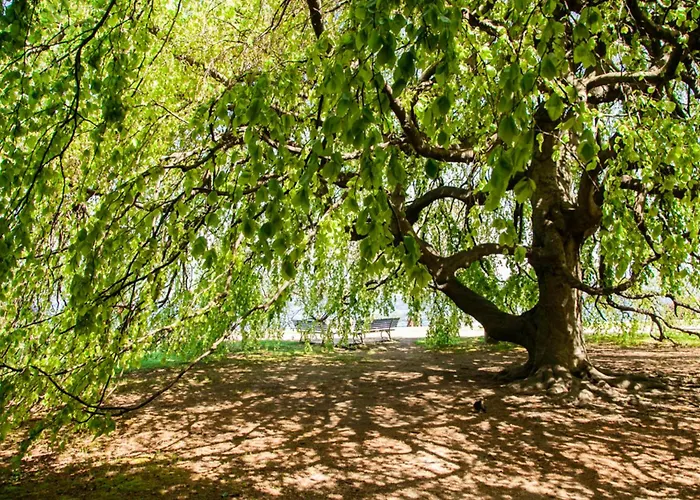 La Casa Di Susanna * Stresa